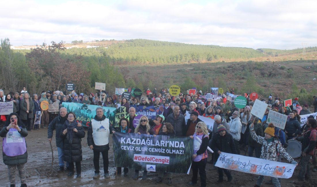 1 kadın 1000 oldu, 1 milyon ağacı keserek ‘ekokırım’a başlayan şirkete ”dur” dedi!