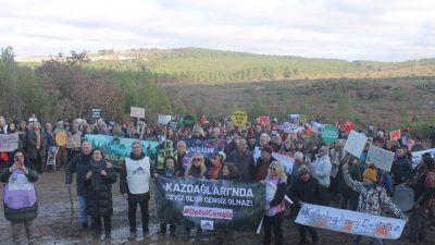 1 kadın 1000 oldu, 1 milyon ağacı keserek ‘ekokırım’a başlayan şirkete ”dur” dedi!
