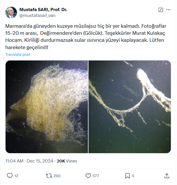 Havalar ısınınca Marmara’da müsilaj istilası olacak