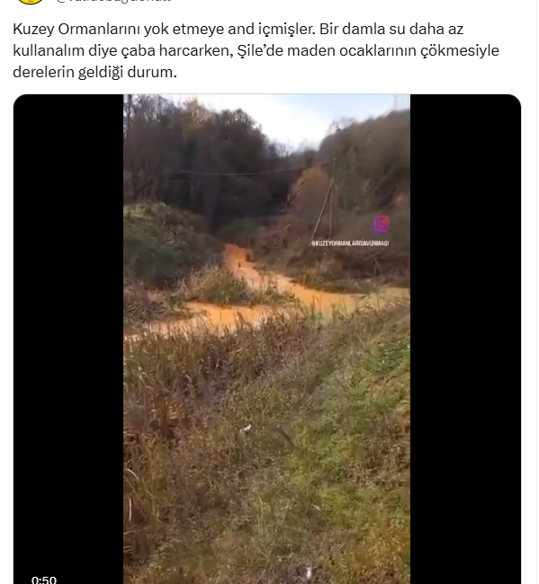 İstanbul Şile'de çöken maden