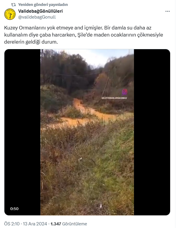 İstanbul Şile’de çöken maden ocakları dereleri kirletti