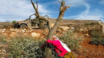 İsrail, Filistin’i ekolojik yıkıma uğrattı Beytüllahim Üniversitesi Filistin Enstitüsü Biyoçeşitlilik