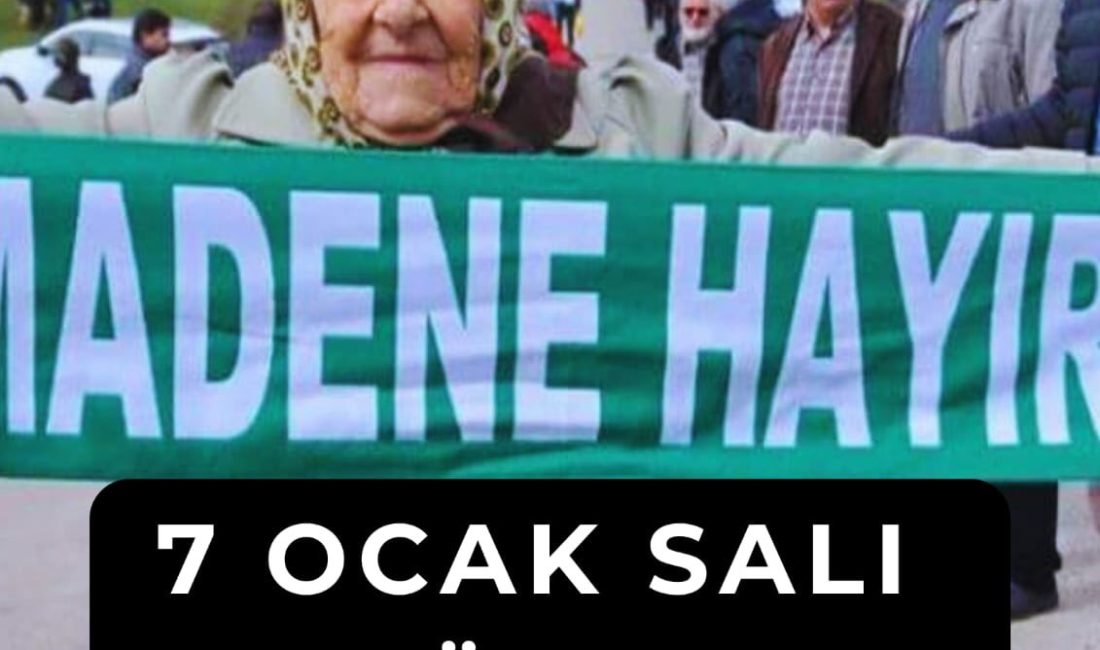 Haydi çevreciler! Bu gece Cerrattepe için sosyal medya başına