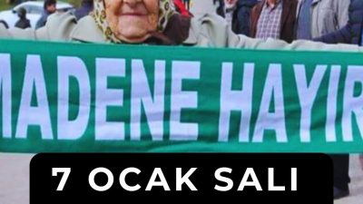 Haydi çevreciler! Bu gece Cerrattepe için sosyal medya başına Anayasa Mahkemesi, Artvin Cerattepe'de Cengiz