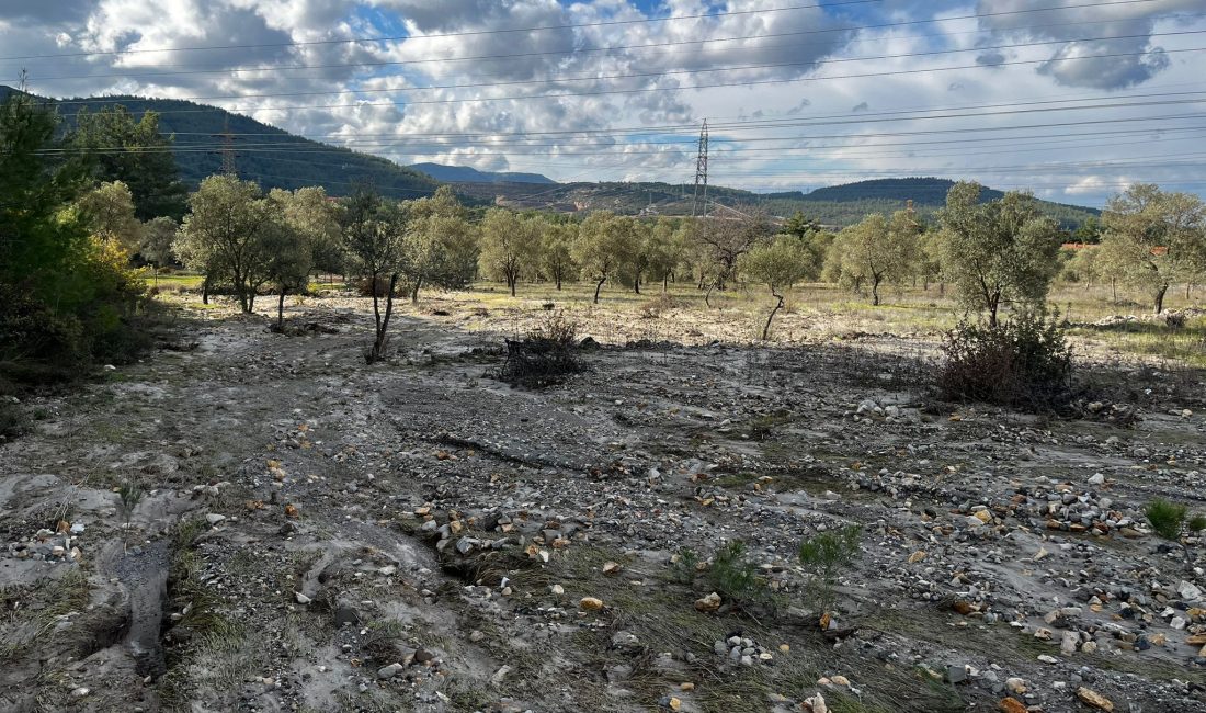 Toprağını satması için baskı yapıp köylü kadını ağlattılar. Akbelen talanı, komşu köye sıçradı!