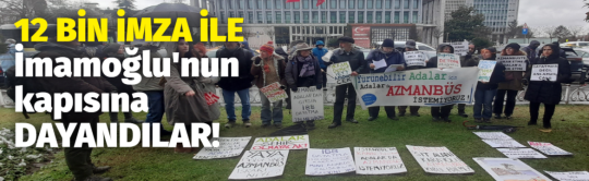 Adalar Dayanışma Ağı üyeleri İzlanda